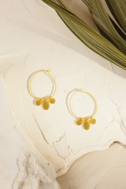 Online Des Petit Hauts Boucles D'eilles Panka Max OR